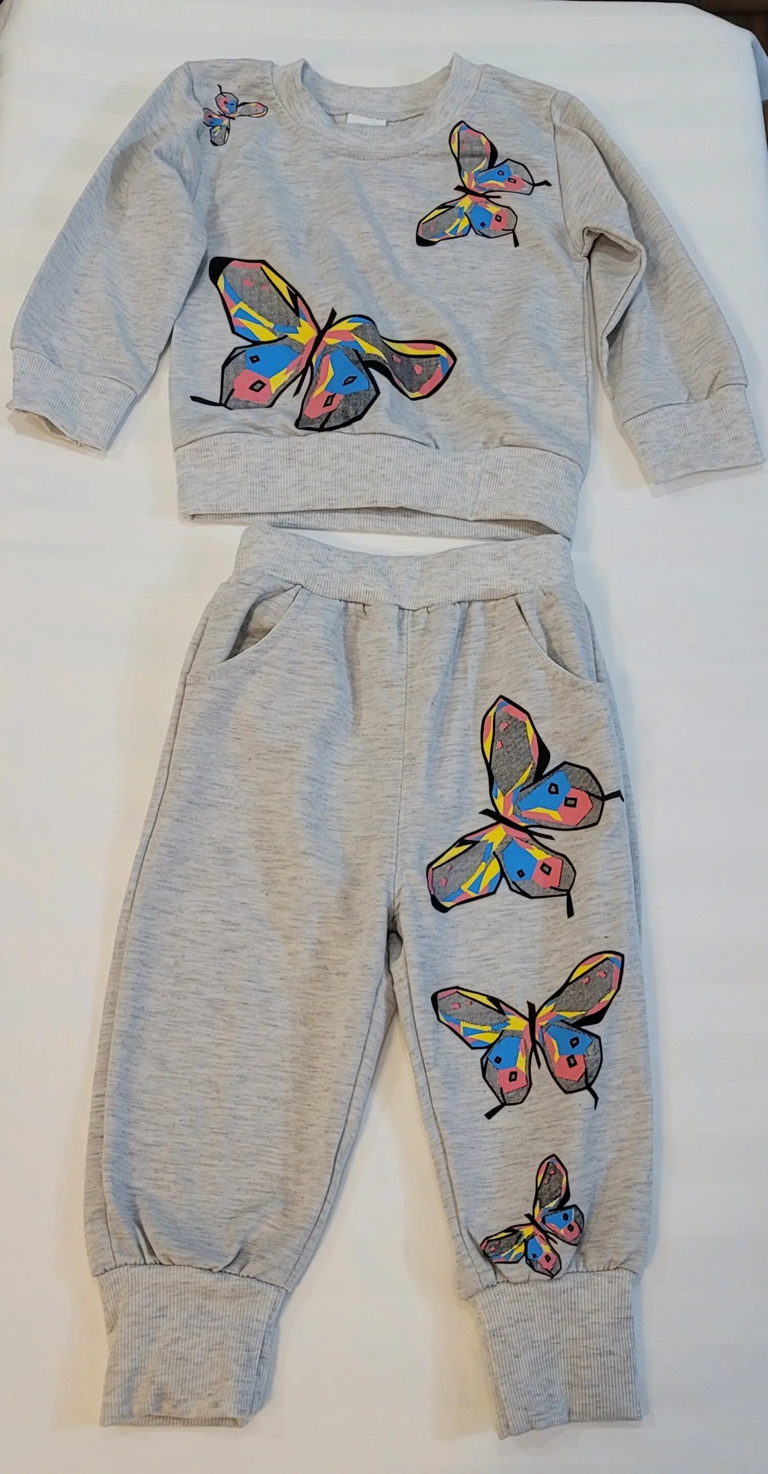 2pcs Butterfly Patterned Long-sleeve, Baby Girl Set, Butterfly Set, Pink Girls Set, Gray Girls Set, Purple Girl Set, Girls Trendy Clothes