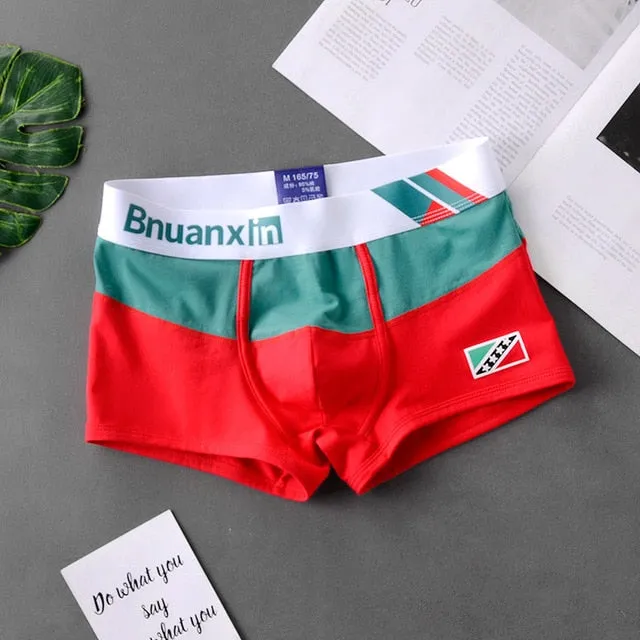 Bright Pop Contrast Color Boxer