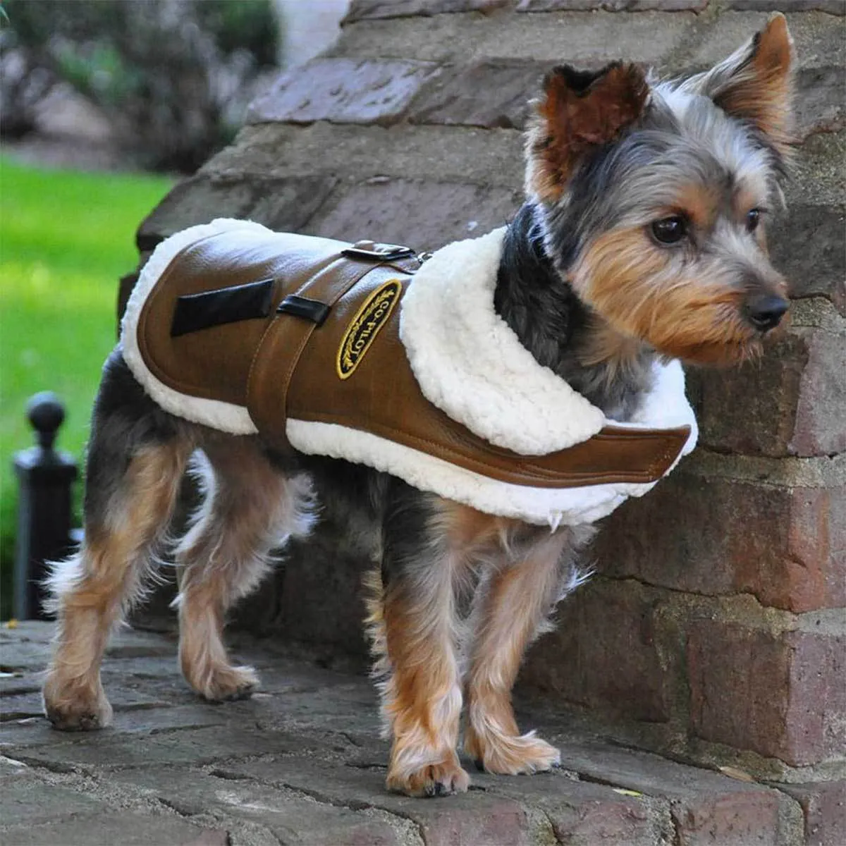 Brown Faux Leather Bomber Dog Harness Coat