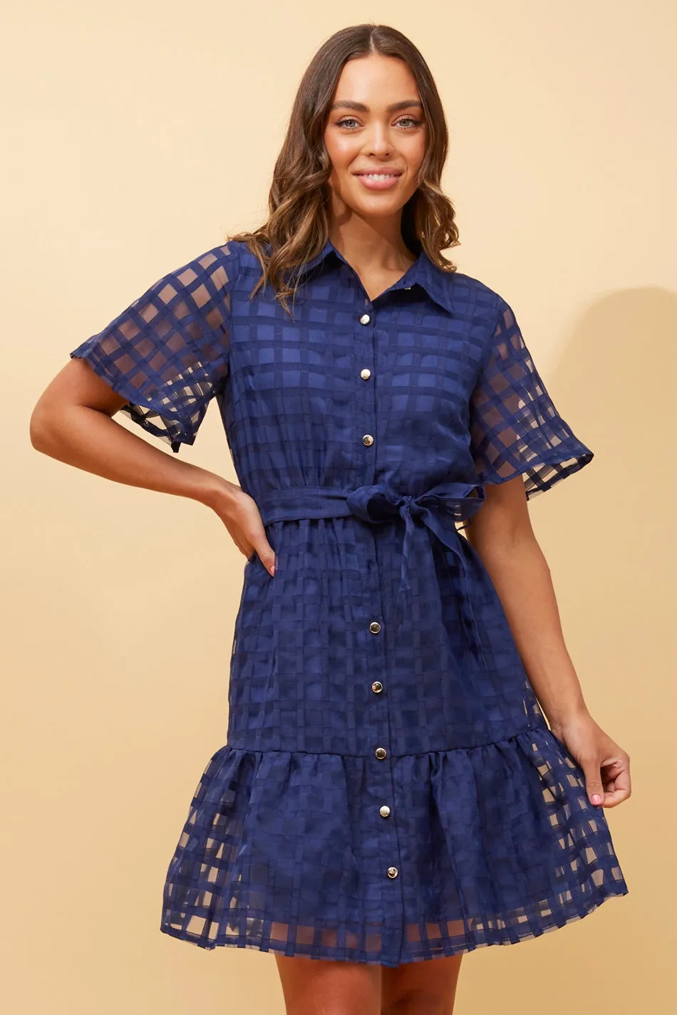 EVERLY GINGHAM SHIRT DRESS