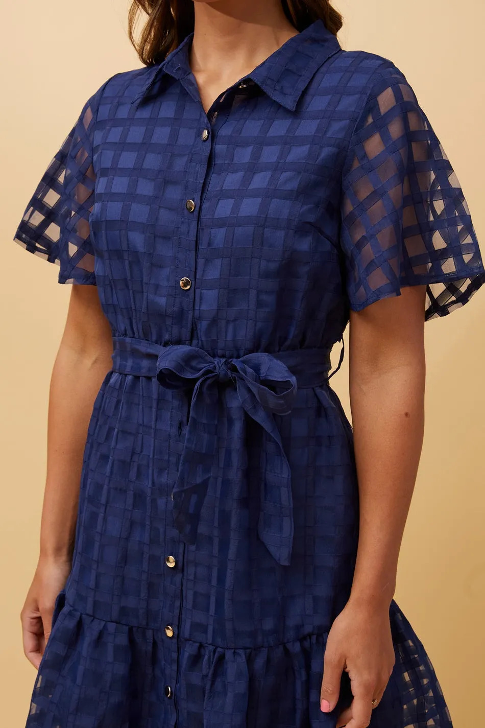 EVERLY GINGHAM SHIRT DRESS