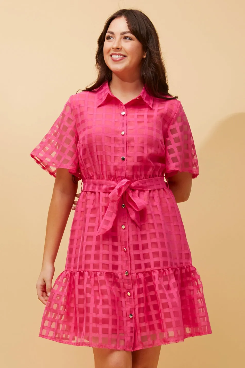 EVERLY GINGHAM SHIRT DRESS