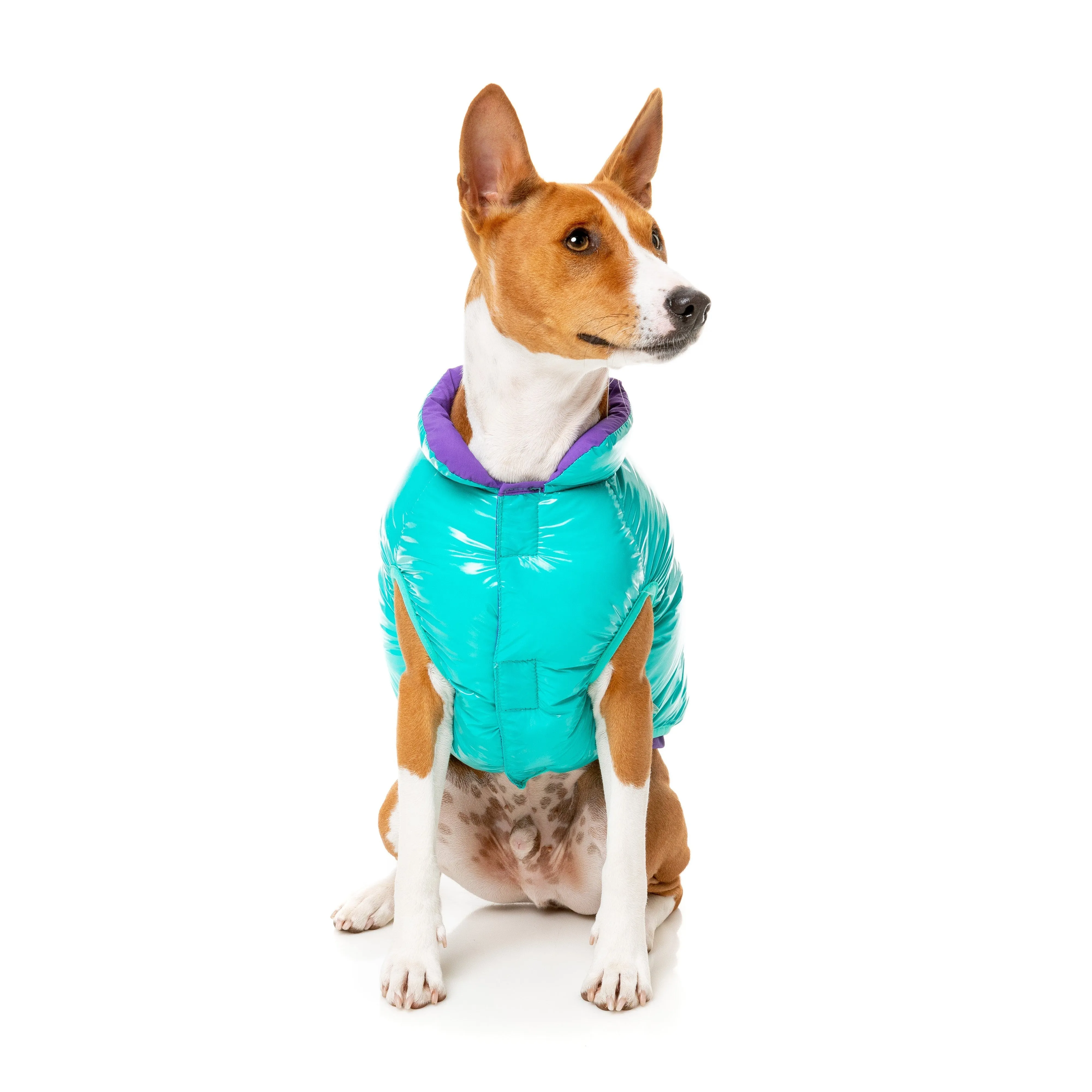 FuzzYard Dog Apparel Amor Puffer Jacket Turquoise and Purple Size 1 XXSmall***