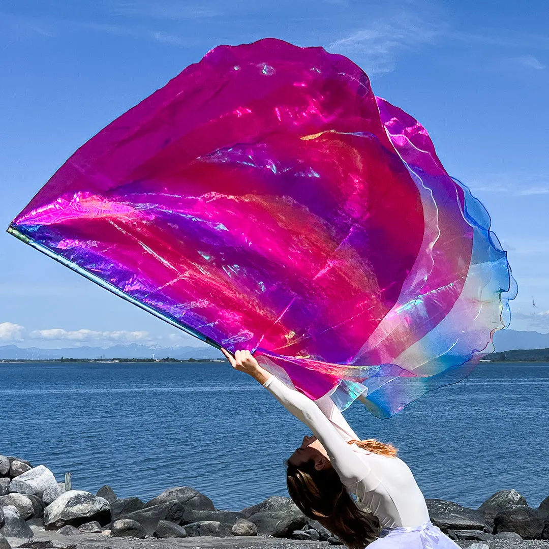 Joyful Worship Flags