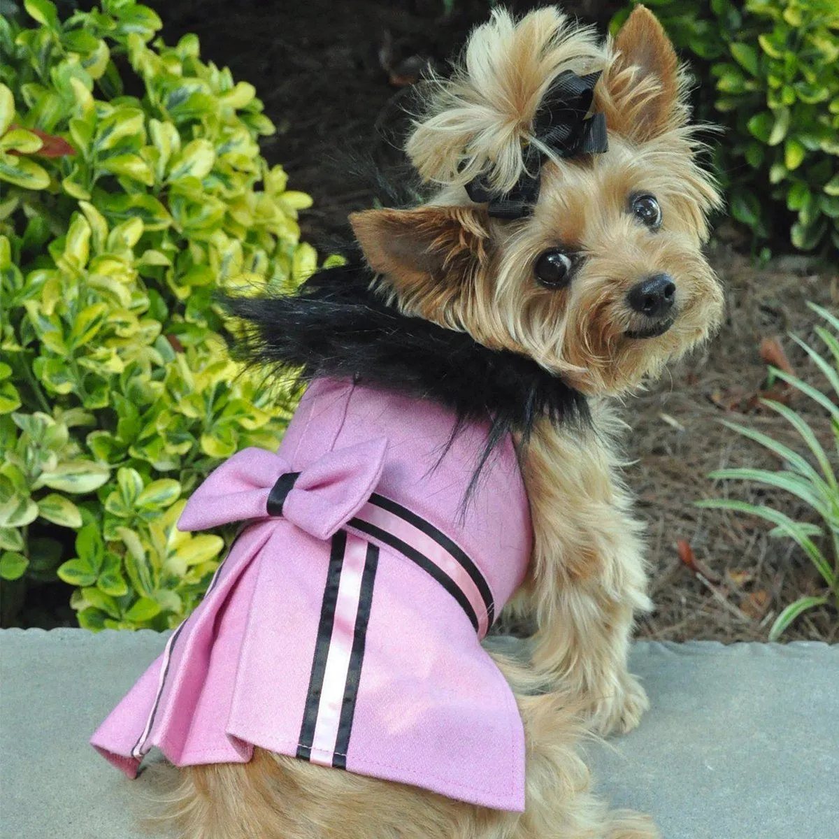 Wool Dog Coat Fur Trimmed in Pink